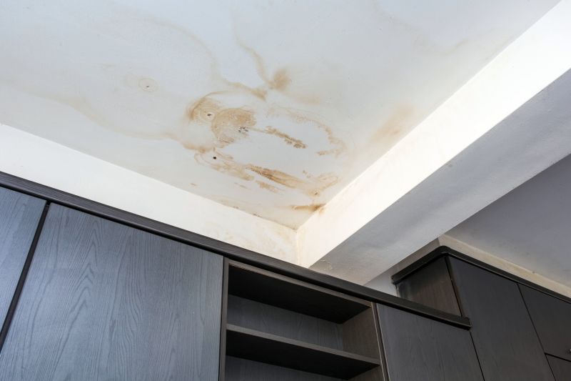 Ceiling Water Damage Repair