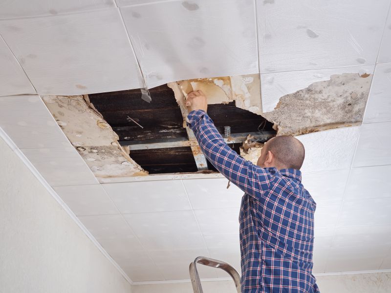 Ceiling Water Damage Repair