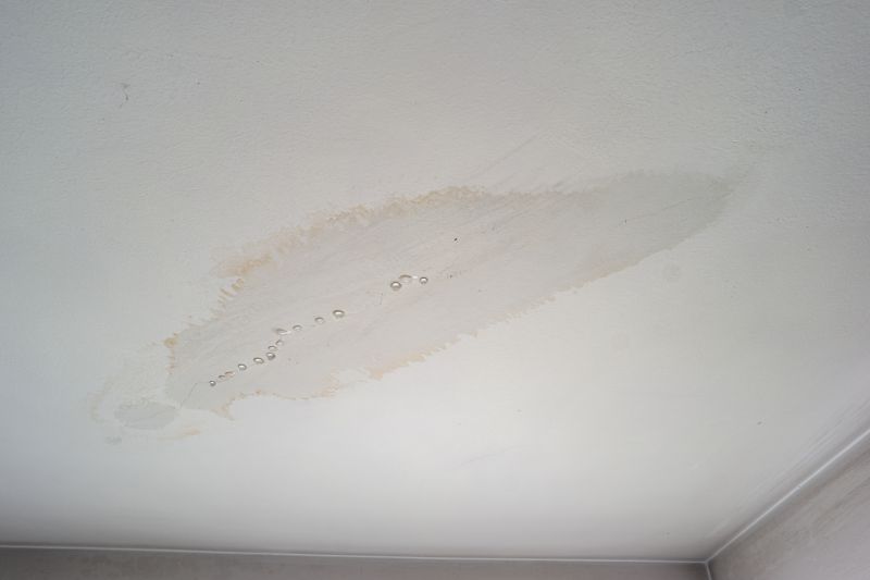 Ceiling Water Damage Repair