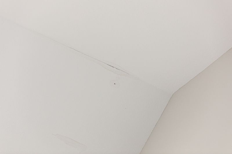 Ceiling Water Damage Repair