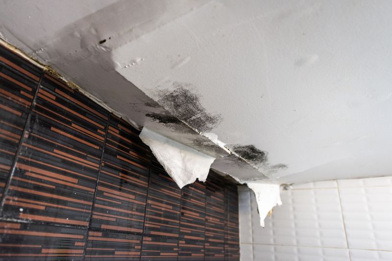 Ceiling Water Damage Repair