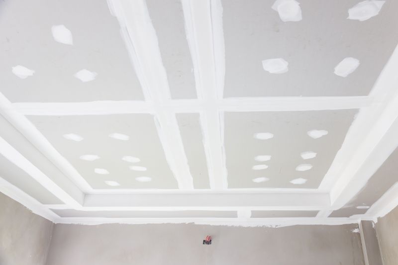 Ceiling Drywall Repair detail